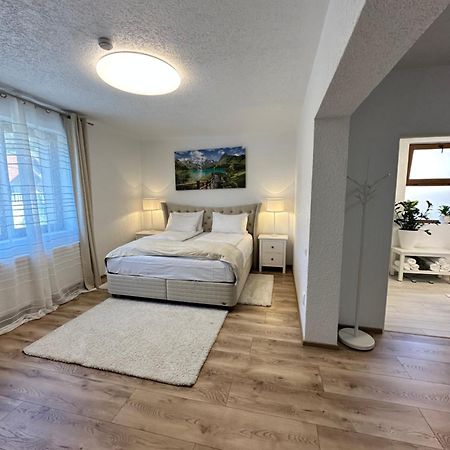 Silvan Villa - Apart Segesvár Kültér fotó