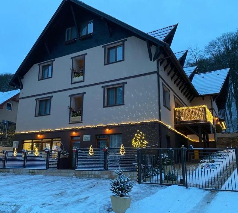 Silvan Villa - Apart Segesvár Kültér fotó